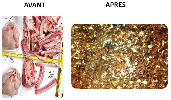 déchets avant et après